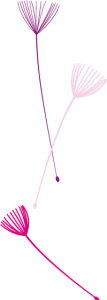 Illustratie van 3 kleuren pluisjes verticaal uit logo HelenHelpt