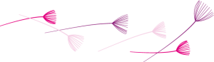 Illustratie van 6 pluisjes in 3 kleuren liggend uit het logo van HelenHelpt