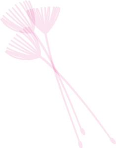 Illustratie van pluisjes roze uit logo HelenHelpt
